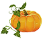Pumpkin Vines
